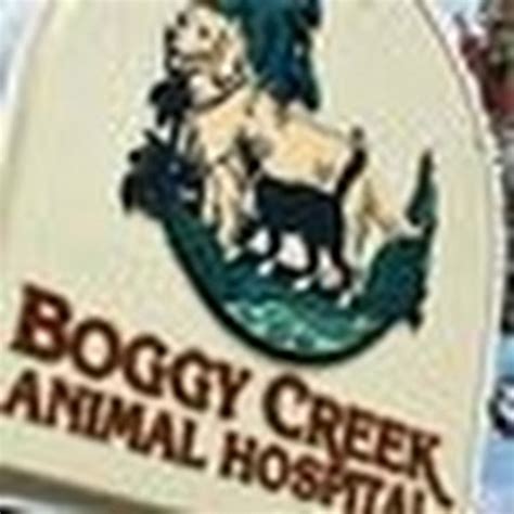 Boggy creek animal hospital photos - Retail. Read 658 customer reviews of Boggy Creek Animal Hospital, one of the best Emergency Pet Hospital businesses at 2229 Fortune Rd, Kissimmee, FL 34744 United States. Find reviews, ratings, directions, business hours, and book appointments online.